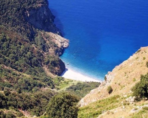 Seminara - Cala Leone - - Colombo40